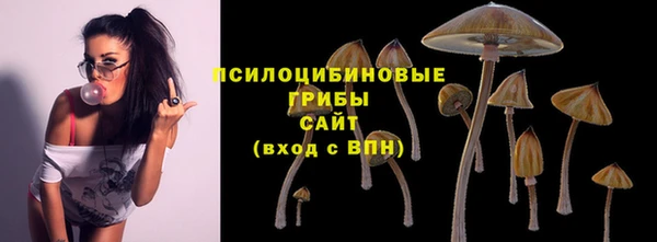 каннабис Новозыбков