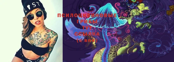 прущая мука Няндома